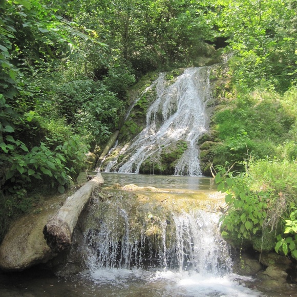 Meet your Posh Ambassador , Carolyn - Picture 10 of 16